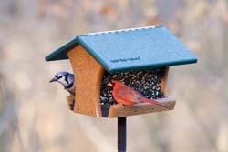 Recycled Classic Feeder Recycled Classic Feeder