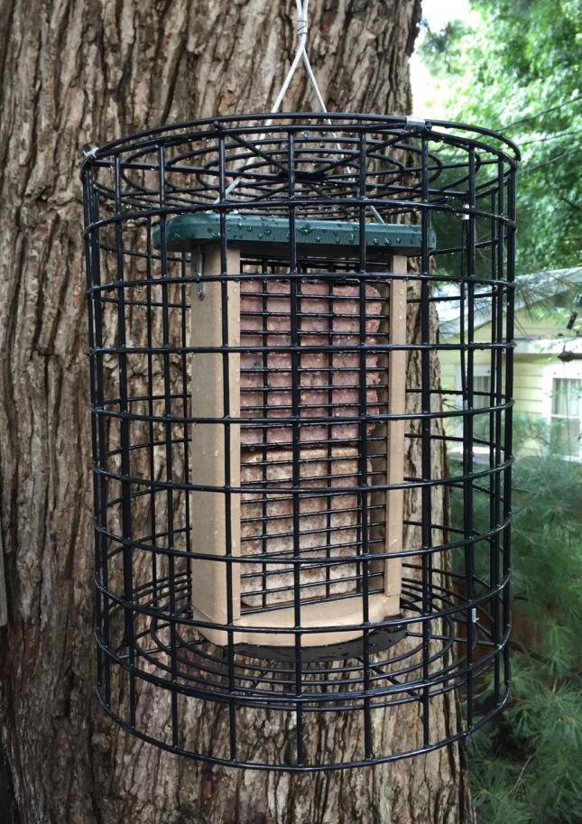 suet feeder