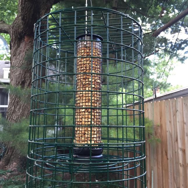 on guard peanut cage