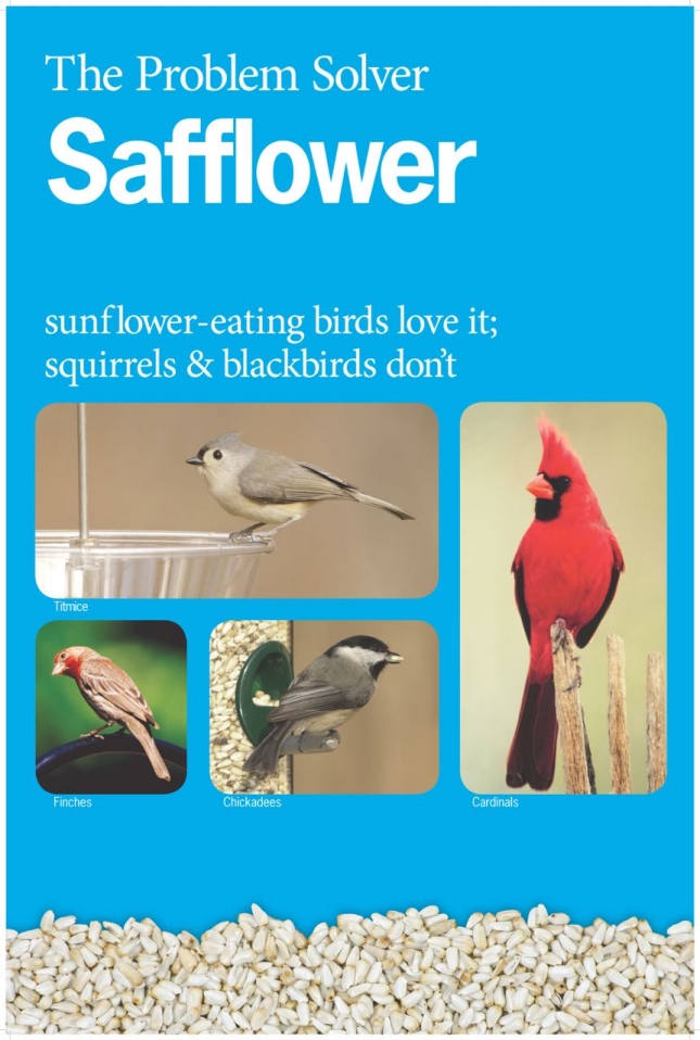 safflower