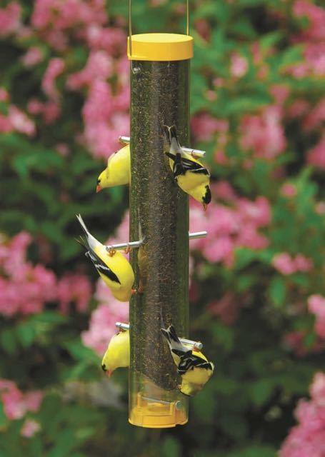 upside down finch feeder