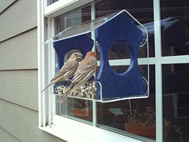 window feeder