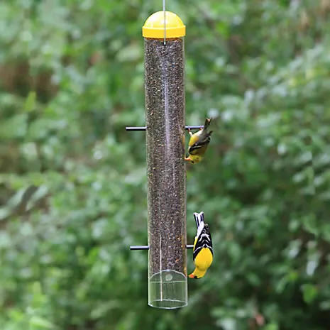 upside down finch feeder