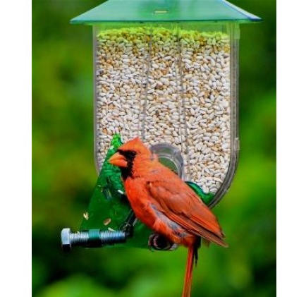 cardinal only feeder