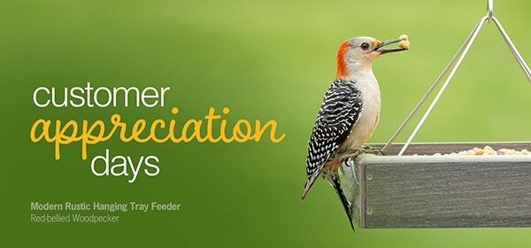 customer appreciation days